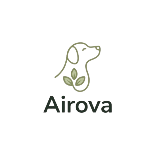 Airova 